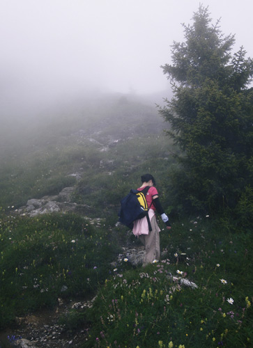 Berner-Oberland