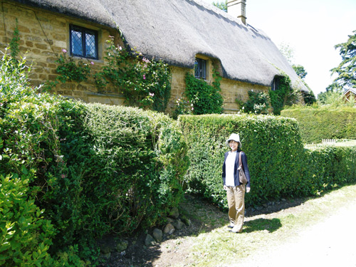 Cotswolds